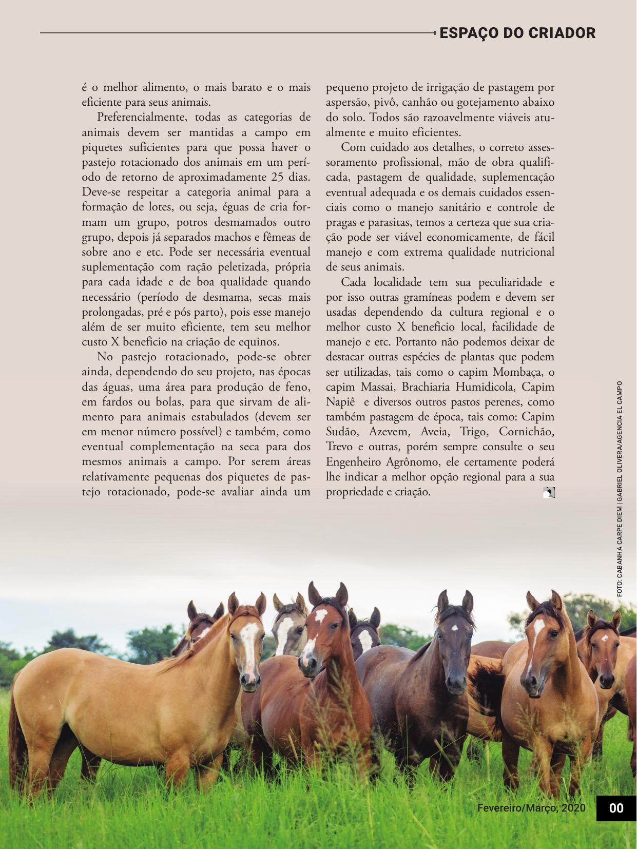 Página 2 da Revistanelore Cavalos, Edição 98